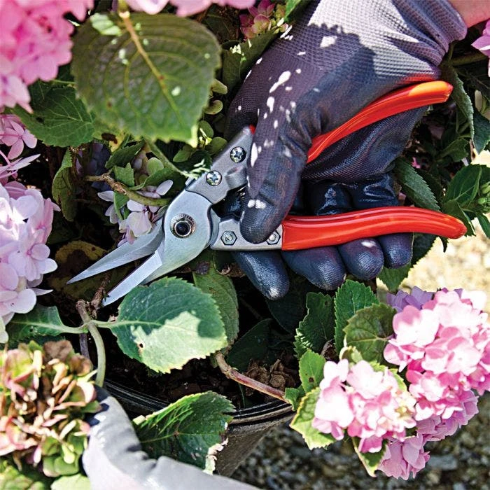 Leonard Straight Blade Pruning Shears, 8.625-inch Length 5 Leonard Straight Blade Pruning Shears, 8.625-inch Length - Image 5