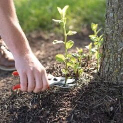 Leonard Deluxe Soil Knife, Pruner, Saw, And Sheath Combo -Outdoor Garden Store 1286 8 1 1