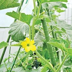 Knotty Takiron Green Steel Stakes, 3/4"x 6', Bundle Of 10 -Outdoor Garden Store 206tsk 4