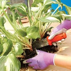 Leonard Deluxe Soil Knife, Pruner, Saw, And Sheath Combo -Outdoor Garden Store 4752 4 1