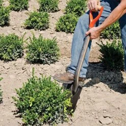 Leonard Classic Full-Strap Spade, D-Grip Handle -Outdoor Garden Store a13m 7