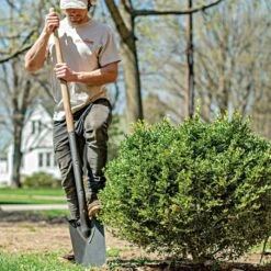 Leonard Classic Full-Strap Spade, Straight Handle -Outdoor Garden Store a13ml 3