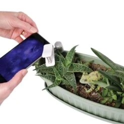 Active Eye Universal Mobile Phone Microscope -Outdoor Garden Store aem60c 5