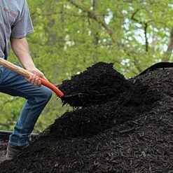 Leonard 10-Tine Forged Steel Scoop Fork With 48-Inch Straight Handle -Outdoor Garden Store amf10l 5 1