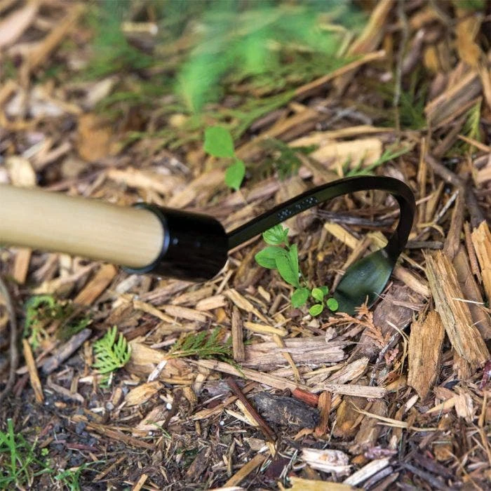 Long Handle Cobrahead Weeder And Cultivator 4 Long Handle Cobrahead Weeder And Cultivator - Image 4