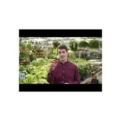 Leonard Stainless Steel Hand Shears, 6.375-inch Length -Outdoor Garden Store hqdefault 15 8