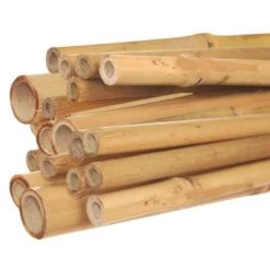 10-Foot Natural First Cut Premium Bamboo Stakes, 24-26 Mm Diameter, Bundle Of 40
