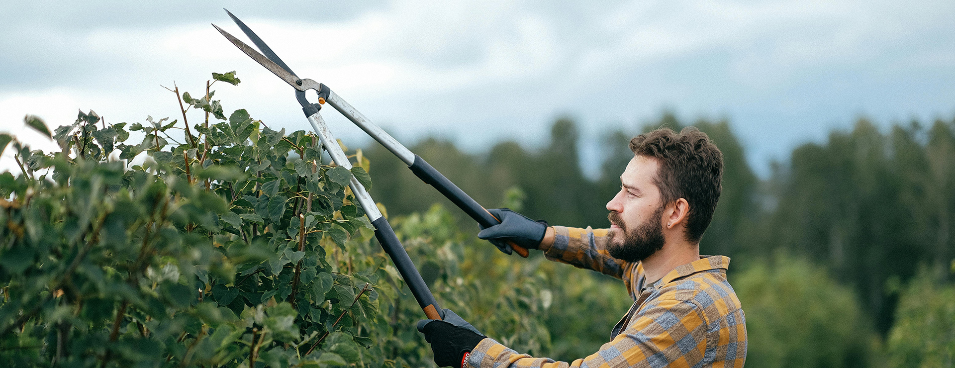 Outdoor Garden Store 1 Outdoor Garden Store -Outdoor Garden Store pexels shvetsa 5027602