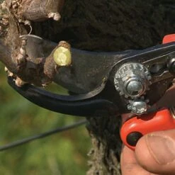Bahco Professional Ergonomic Pruners, 0.75-inch Cutting Capacity -Outdoor Garden Store pxm2 5
